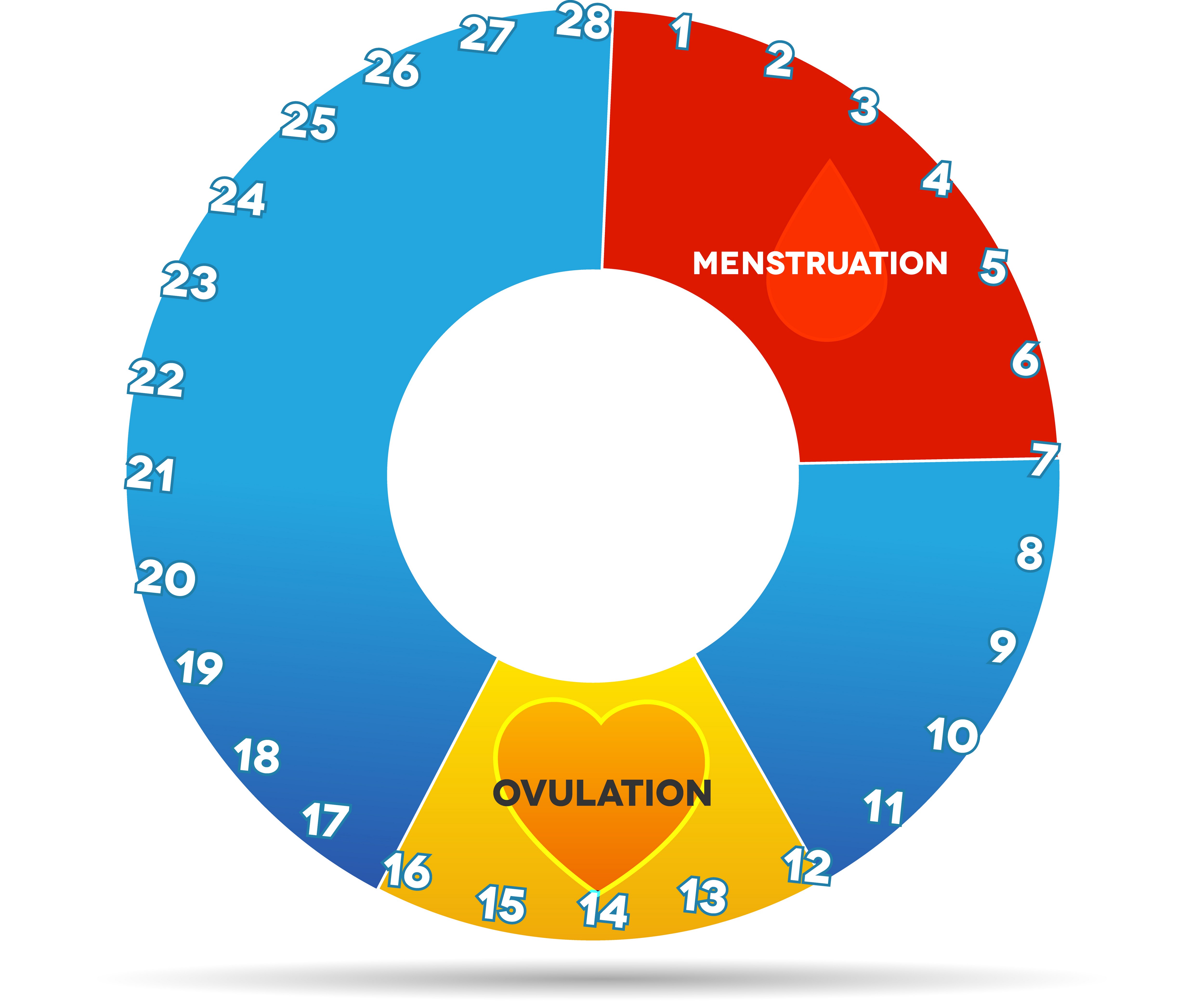 Ovulation Chart Get