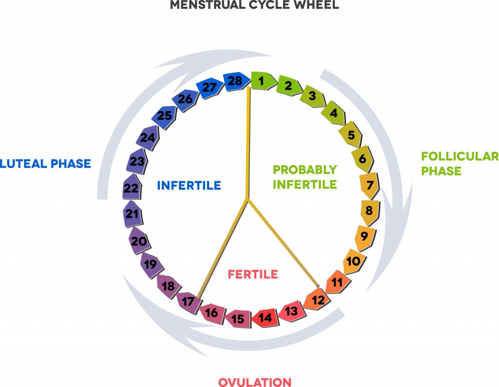 How Many Days After Your Period Do You Ovulate